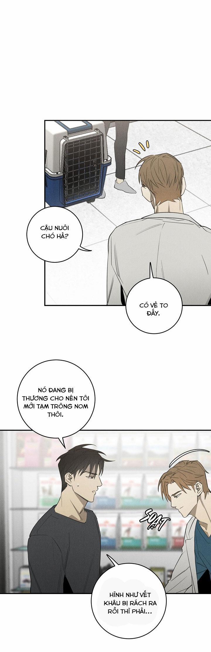 LANG THANG (WANDER OFF) 3 trang 12