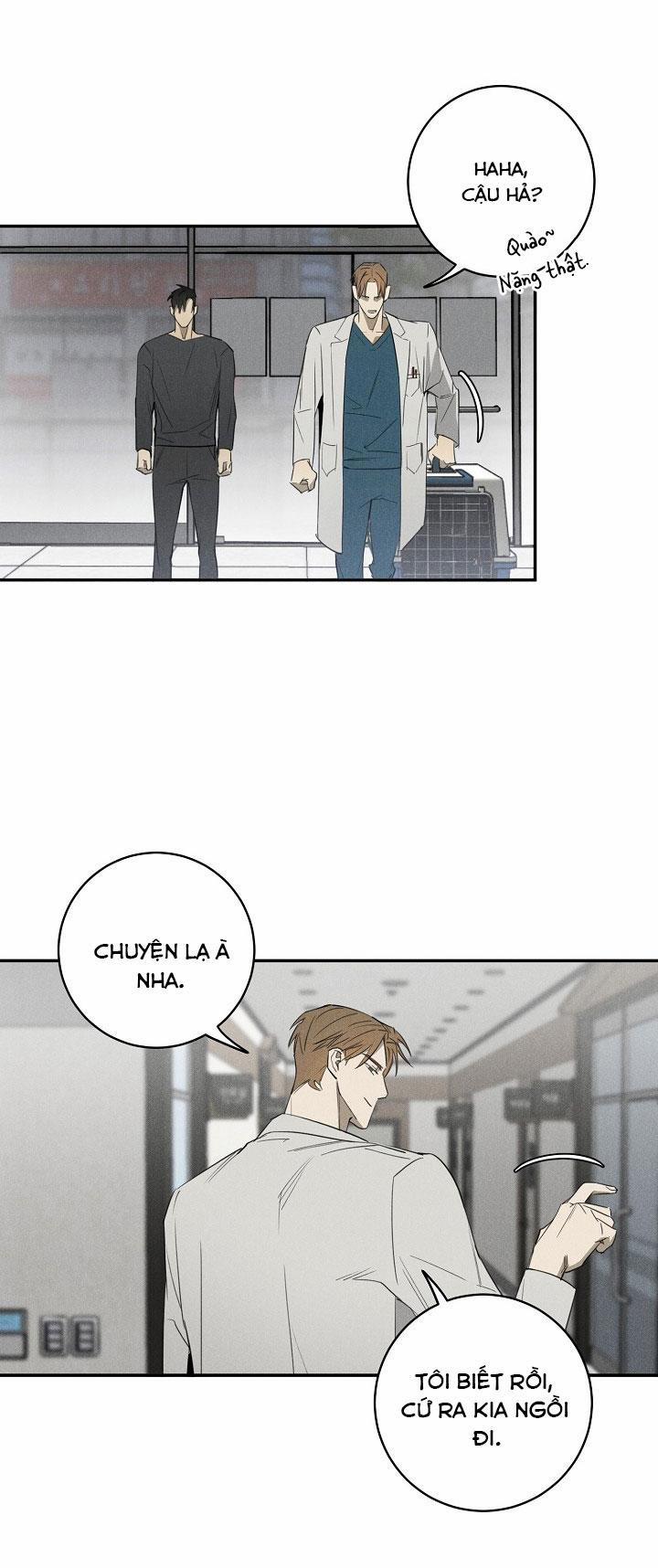 LANG THANG (WANDER OFF) 3 trang 13