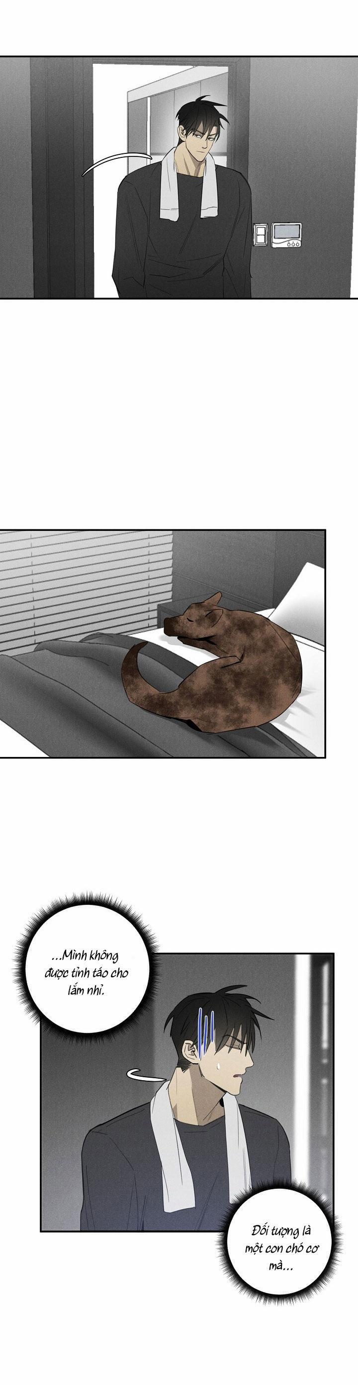 LANG THANG (WANDER OFF) 4 trang 12