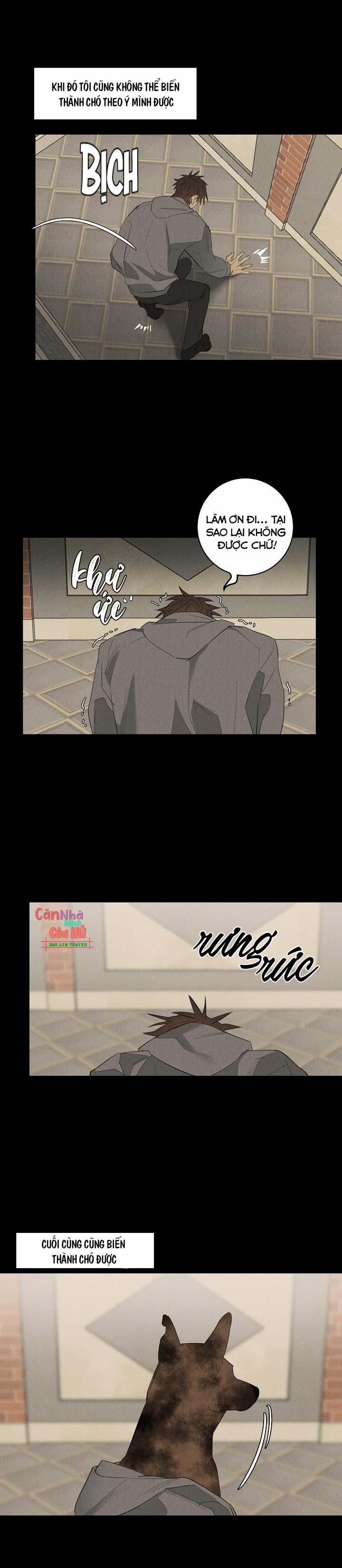 LANG THANG (WANDER OFF) 7 trang 18