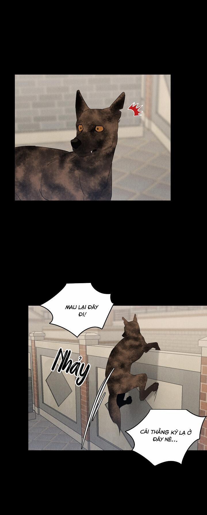 LANG THANG (WANDER OFF) 8 trang 4