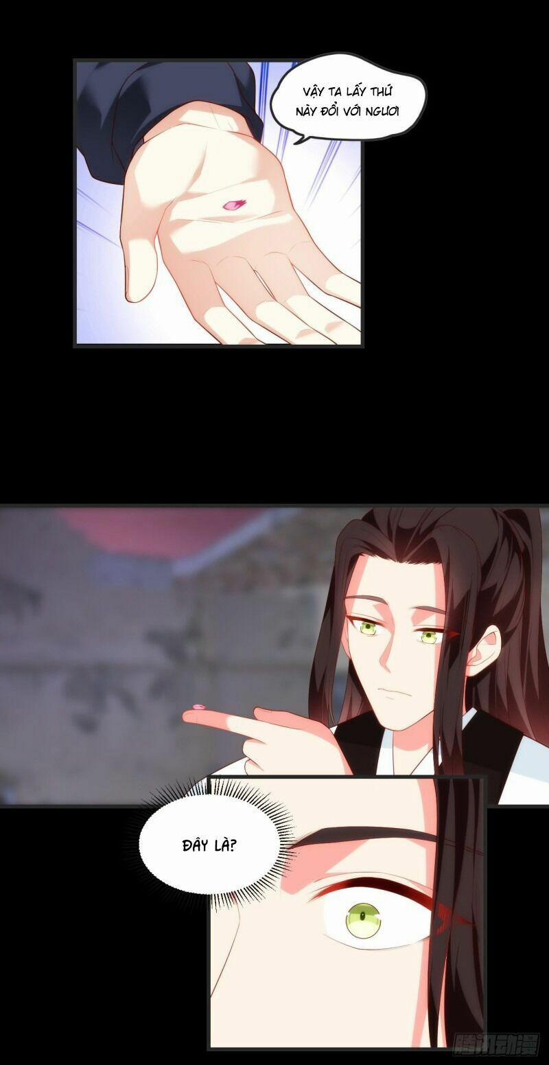 Lãnh Chúa Cái Gì Không Quan Trọng 71 trang 5