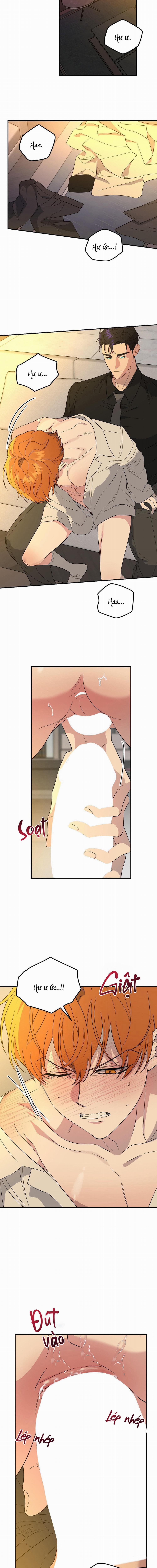 Lãnh Địa Của Dã Thú 22 trang 1