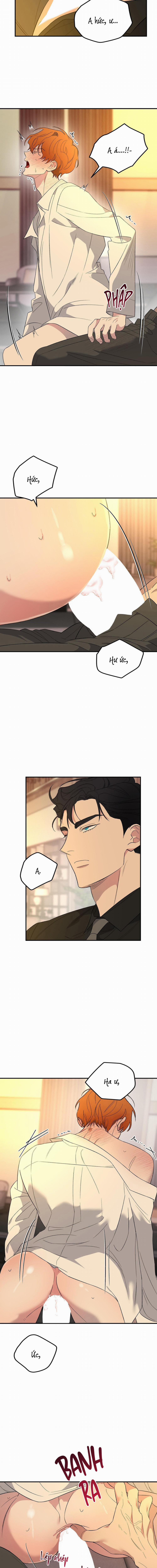 Lãnh Địa Của Dã Thú 22 trang 2