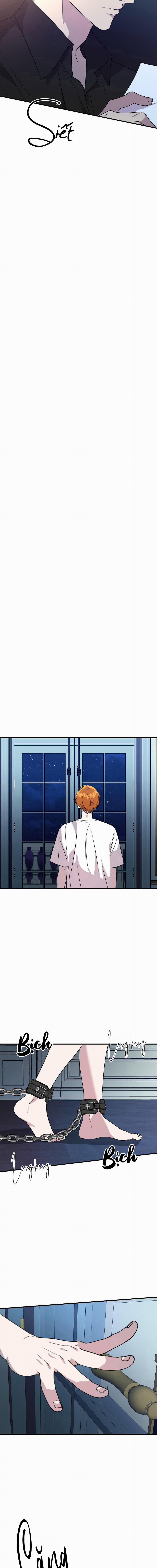 Lãnh Địa Của Dã Thú 26 trang 8