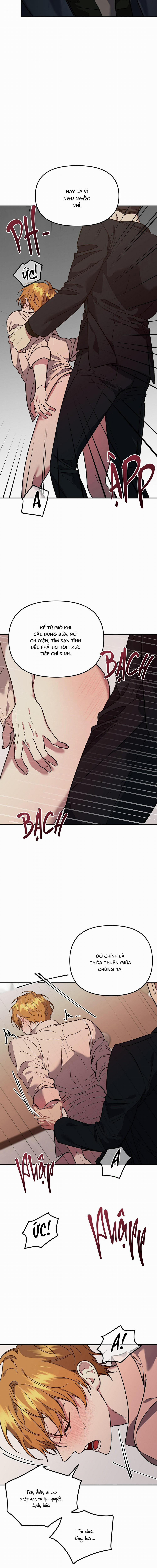 Lãnh Địa Của Dã Thú 31 trang 4