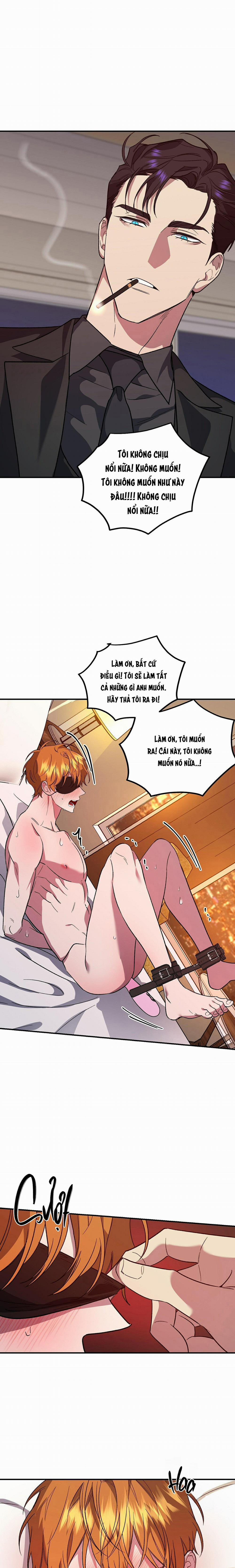 Lãnh Địa Của Dã Thú 33 trang 6