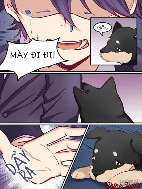 Lãnh Khốc Tổng Tài Đích Hạ Thiên 38 trang 6