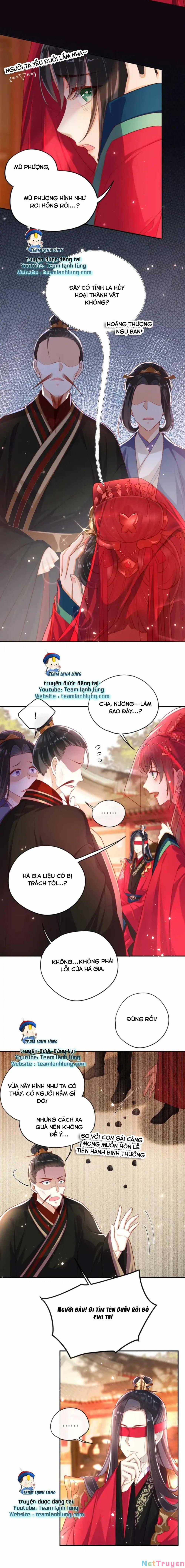 Lão Đại Xuyên Không Gả Cho Phu Quân Mù 7 trang 3