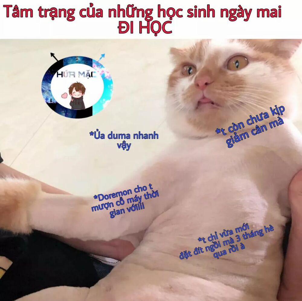 Lão Đại Xuyên Không Thành Tiên Nữ 33.1 trang 24