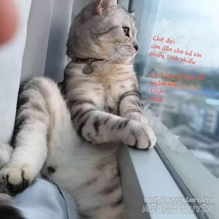 Lão Đại Xuyên Không Thành Tiên Nữ 33.1 trang 25