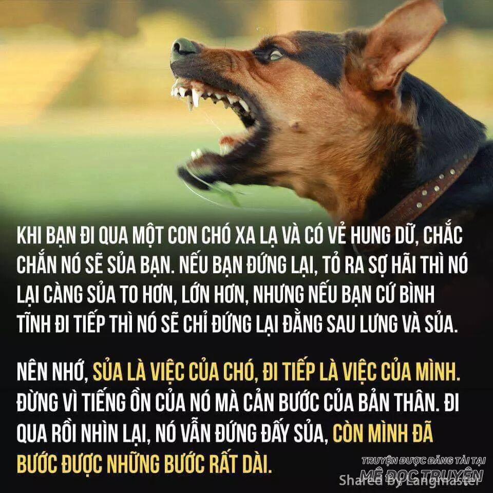 Lão Đại Xuyên Không Thành Tiên Nữ 47.1 trang 30