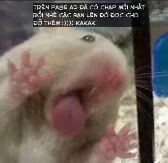 Lão Đại Xuyên Không Thành Tiên Nữ 55.1 trang 28