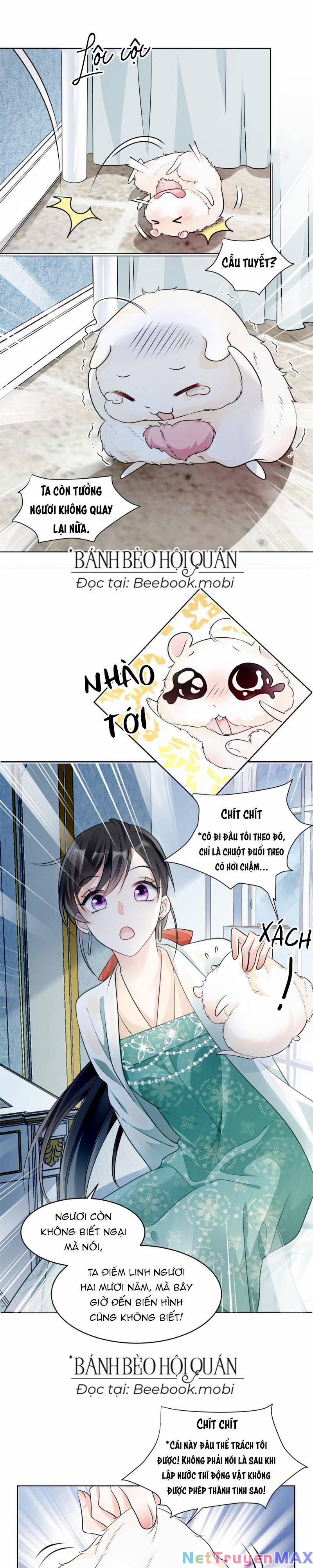 Lão Tổ Tông Vừa Xinh Vừa Ngầu 3 trang 8