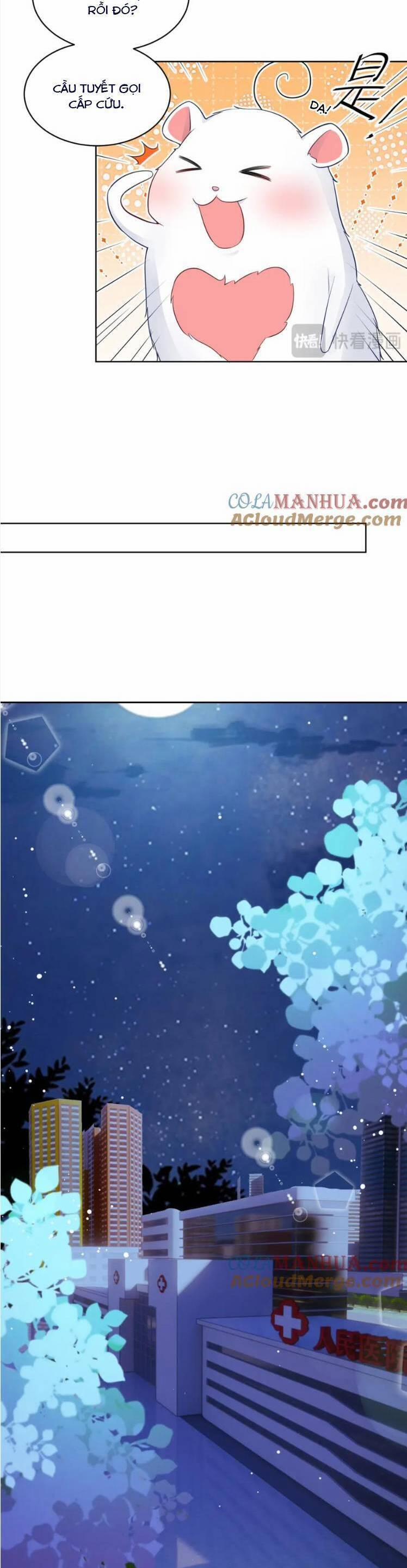 Lão Tổ Tông Vừa Xinh Vừa Ngầu 56 trang 14