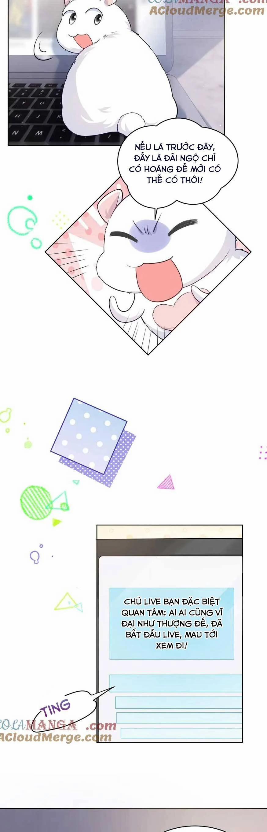 Lão Tổ Tông Vừa Xinh Vừa Ngầu 89 trang 6