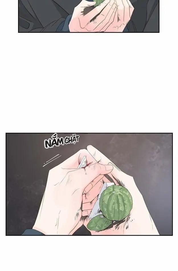 Lâu Đài Cát (END) 31 trang 10