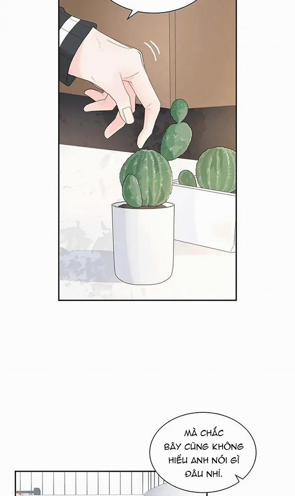 Lâu Đài Cát (END) 33 trang 4