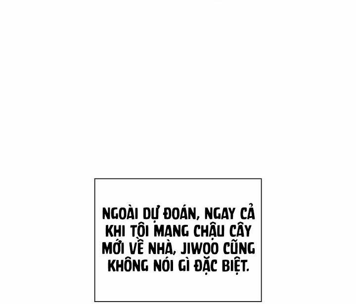 Lâu Đài Cát 11 trang 56