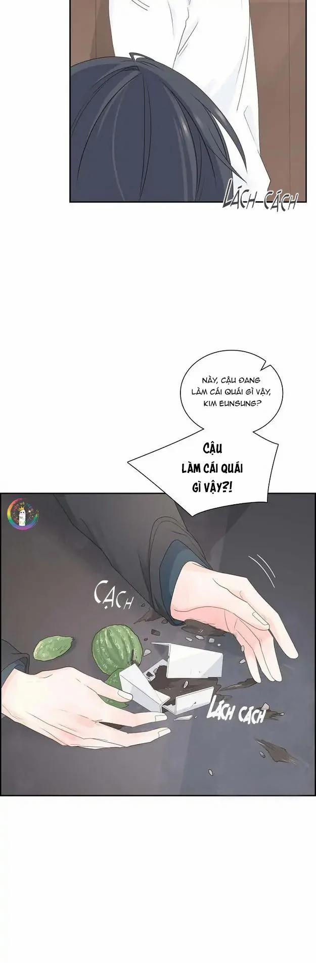 Lâu Đài Cát 31 trang 8