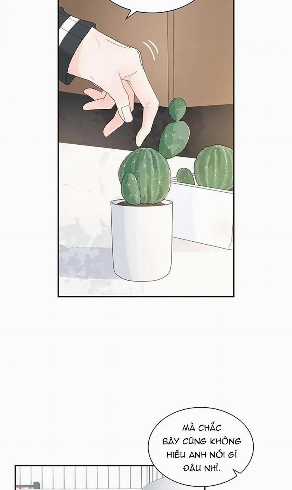 Lâu Đài Cát 33 trang 4