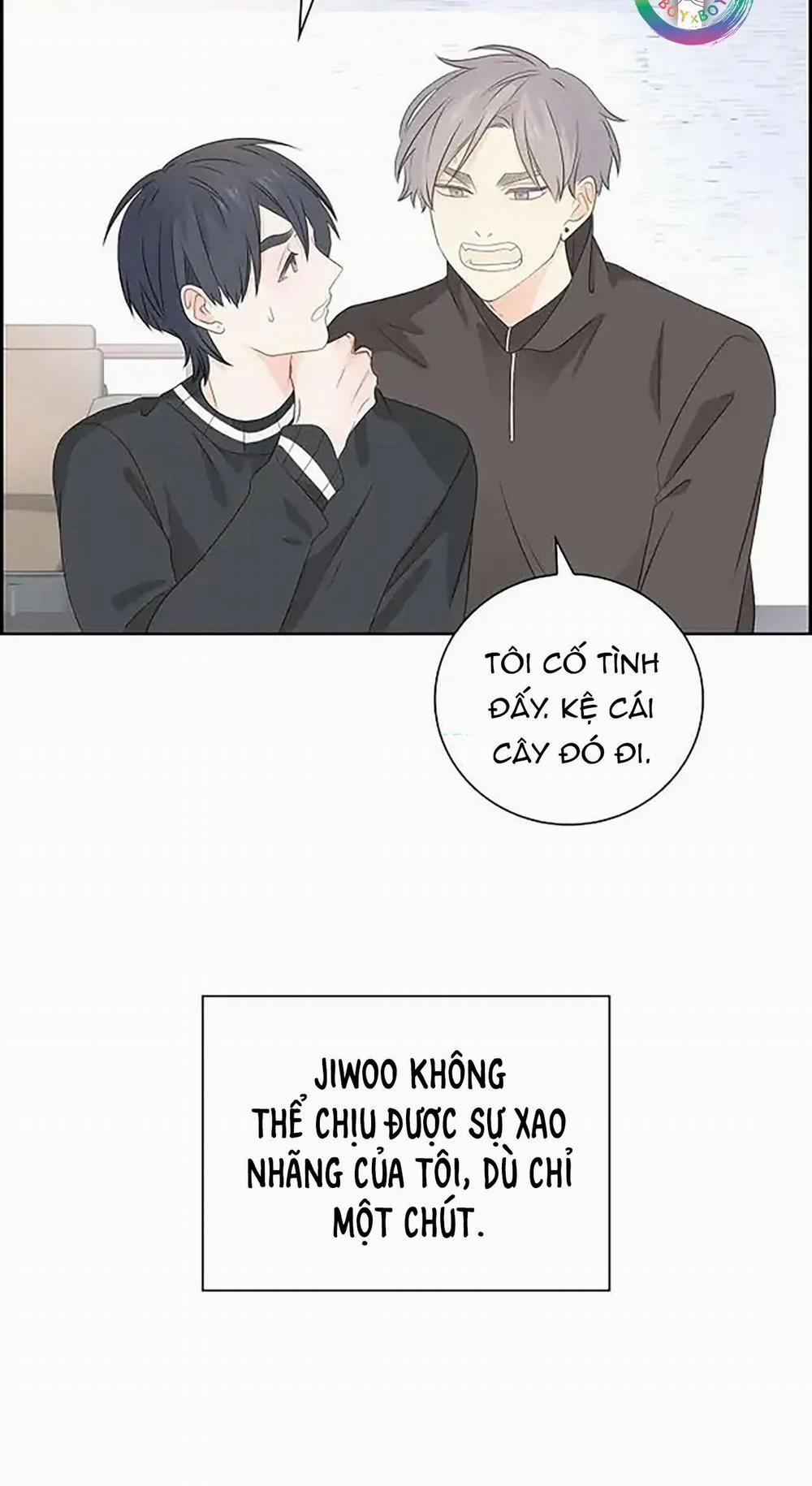 Lâu Đài Cát 33 trang 7