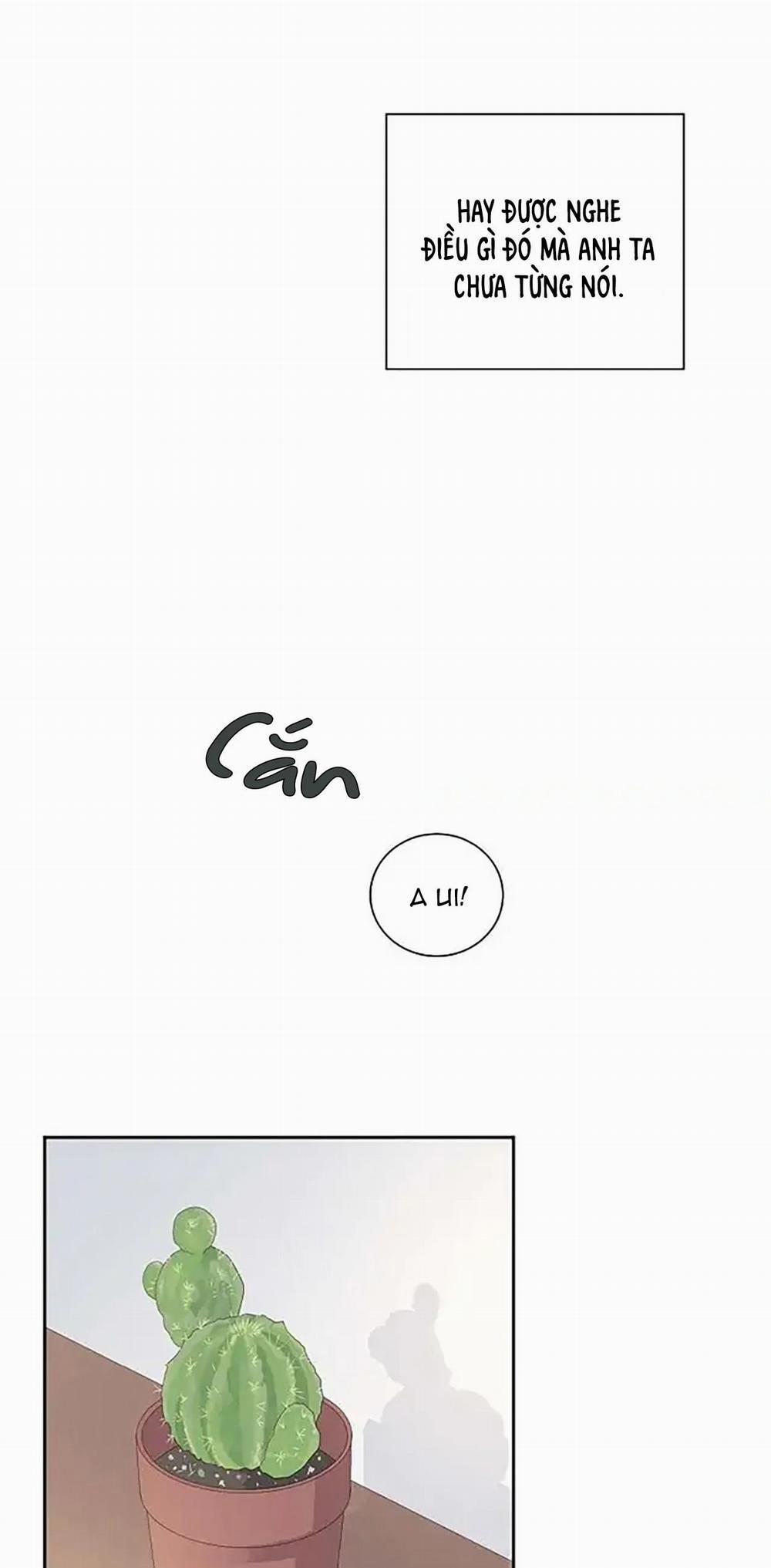 Lâu Đài Cát 41 trang 4