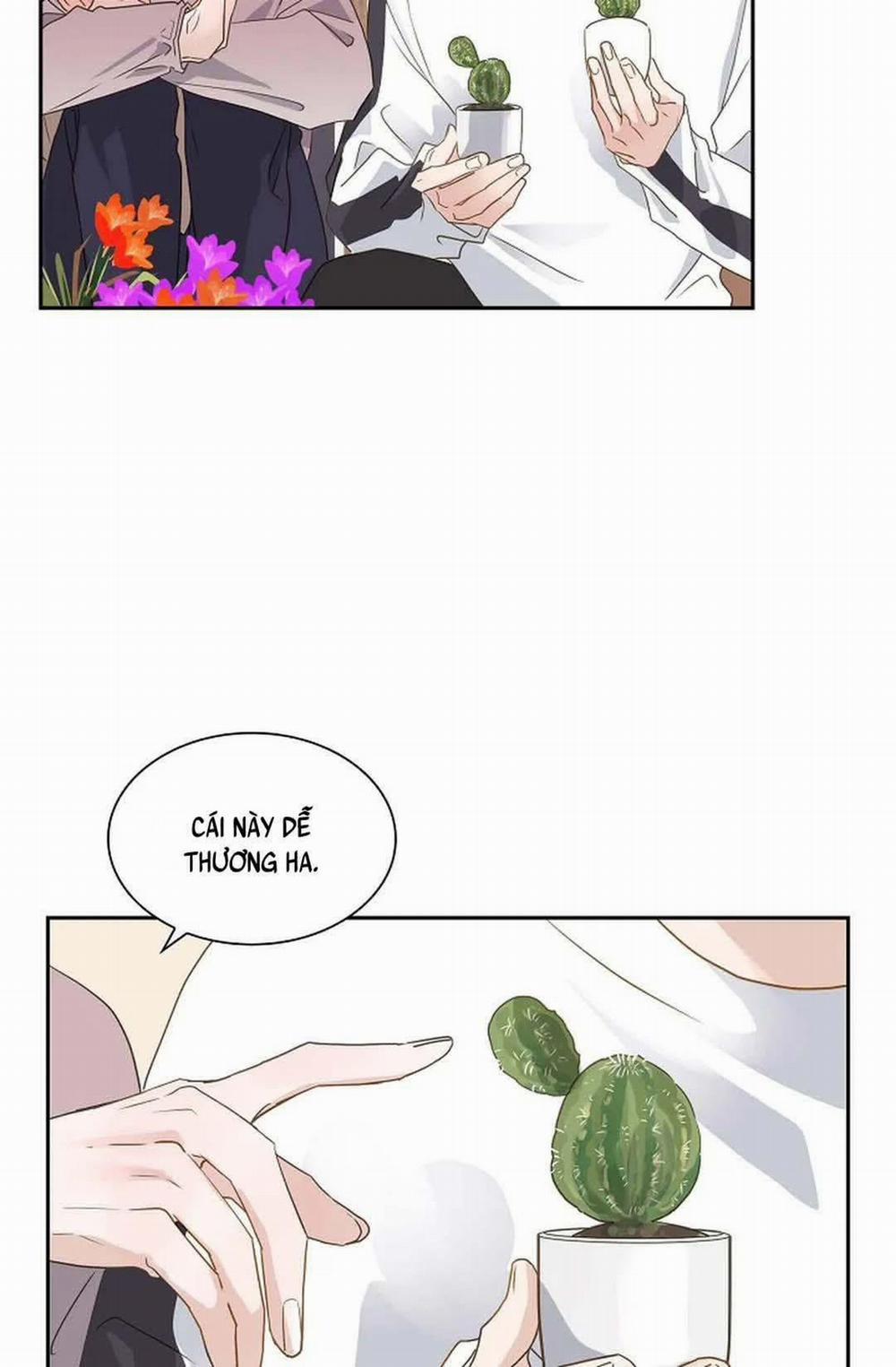 Lâu Đài Cát 7 trang 32