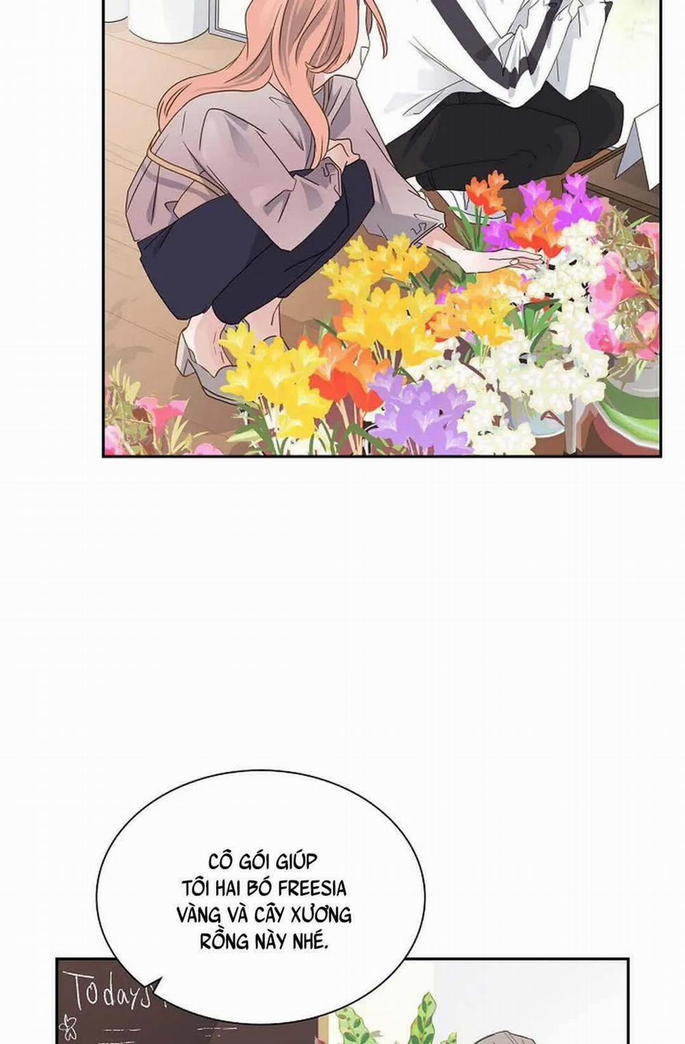 Lâu Đài Cát 7 trang 34