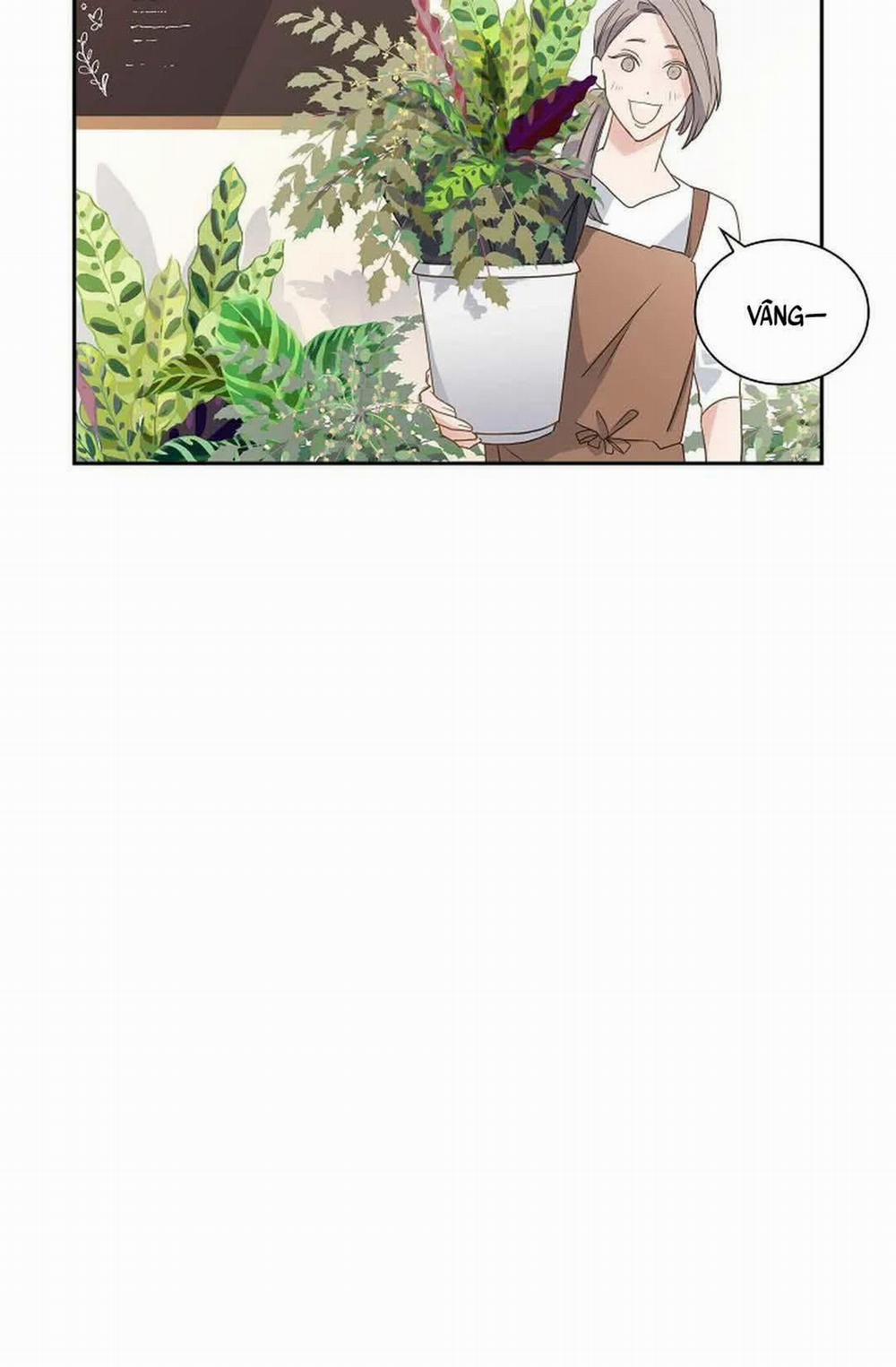 Lâu Đài Cát 7 trang 35