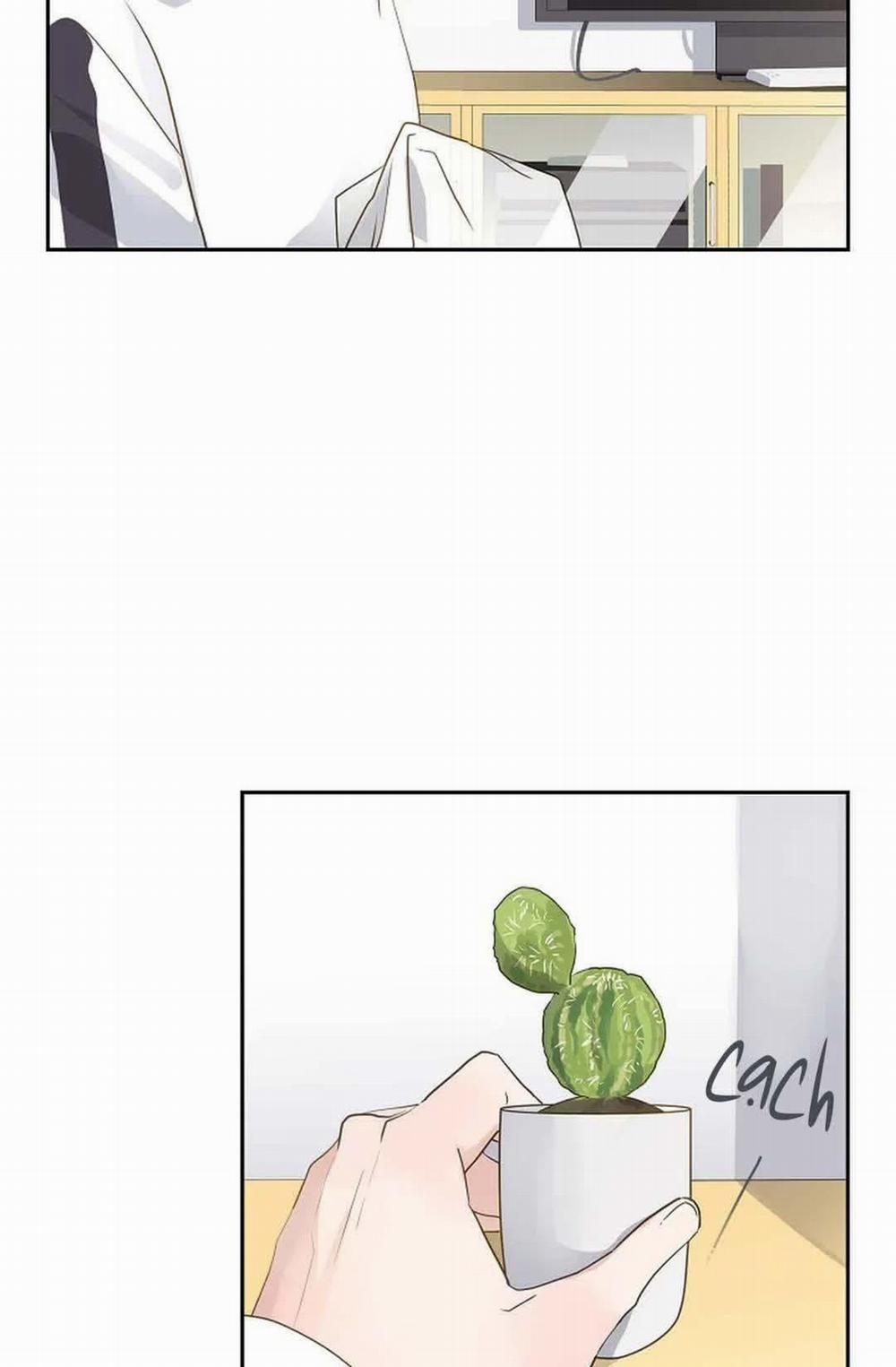 Lâu Đài Cát 7 trang 39