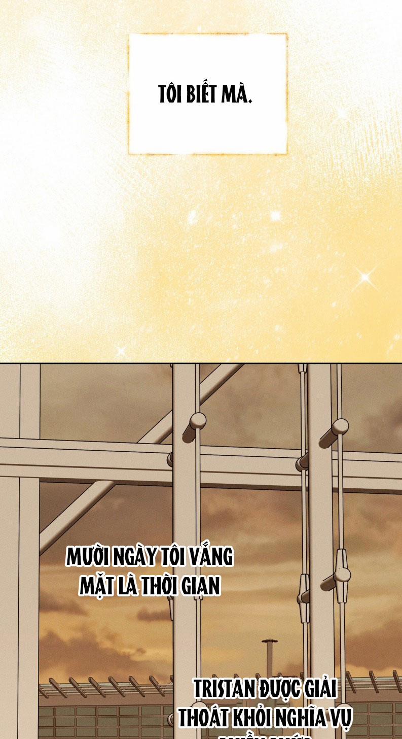 Lâu Đài Ebony 17 trang 11