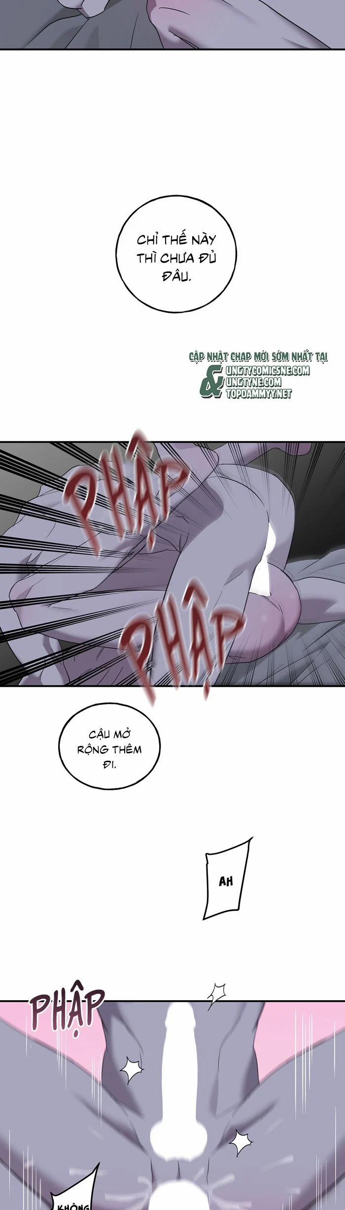 Lâu Đài Ebony 24 trang 11