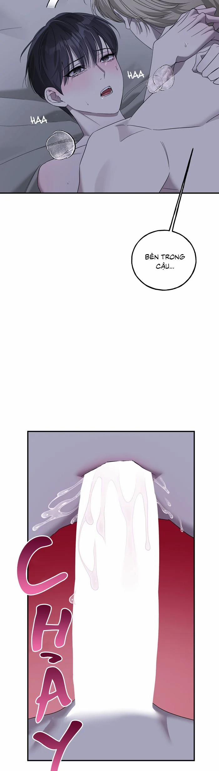 Lâu Đài Ebony 24 trang 13