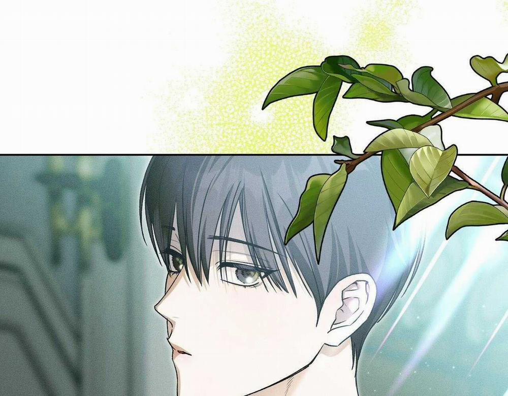 Lâu Đài Ebony 8 trang 45