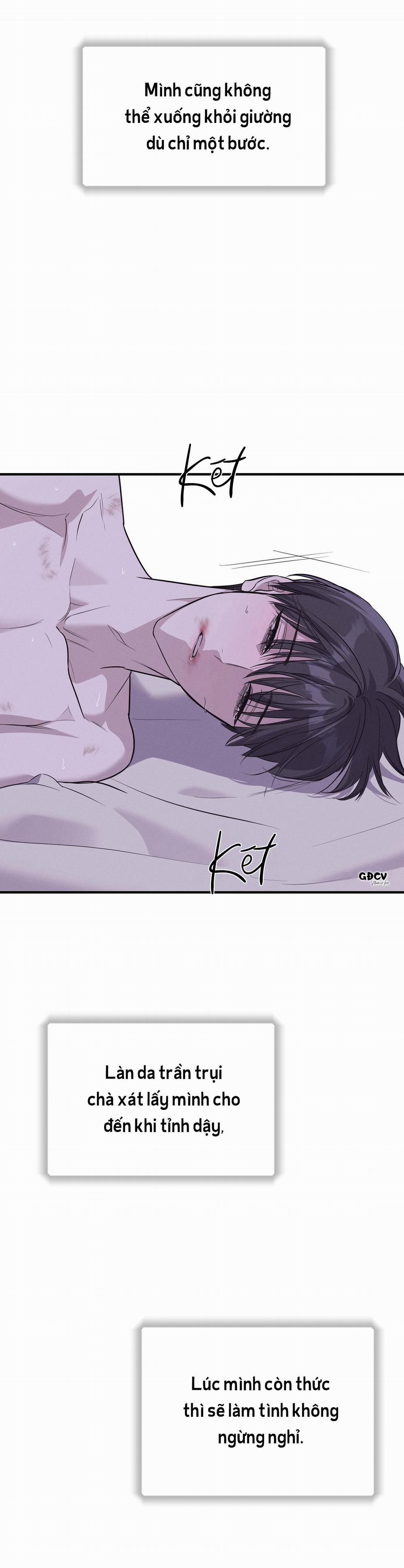 Lâu Đài Gỗ Mun 13 0 trang 22