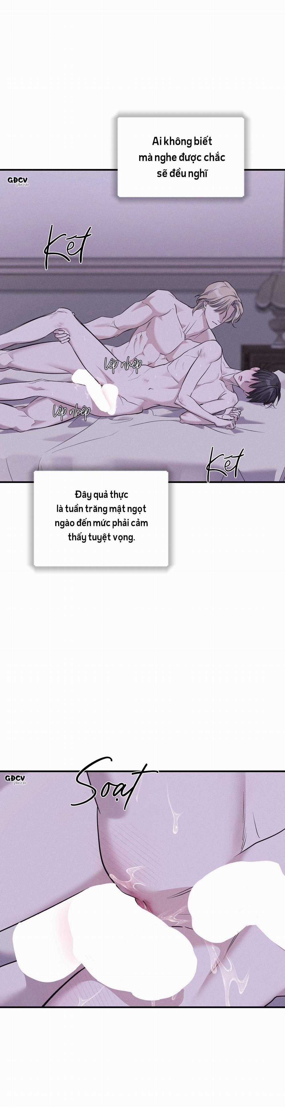 Lâu Đài Gỗ Mun 13 trang 23