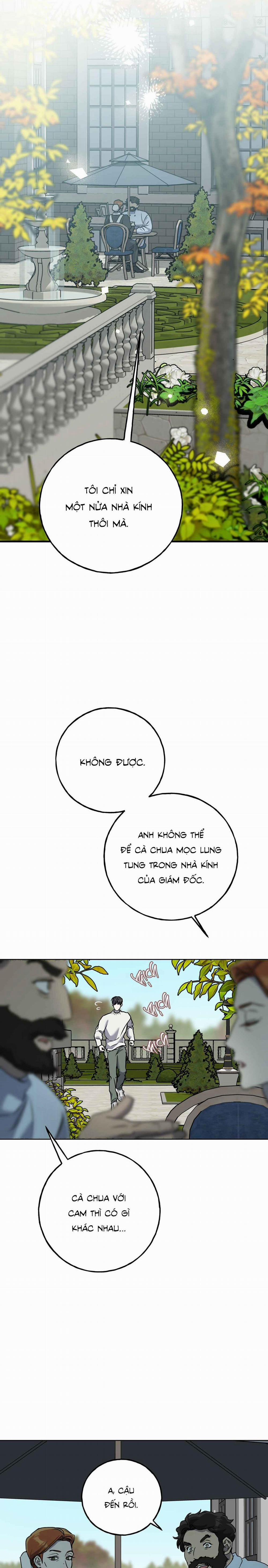 Lâu Đài Gỗ Mun 19 trang 6