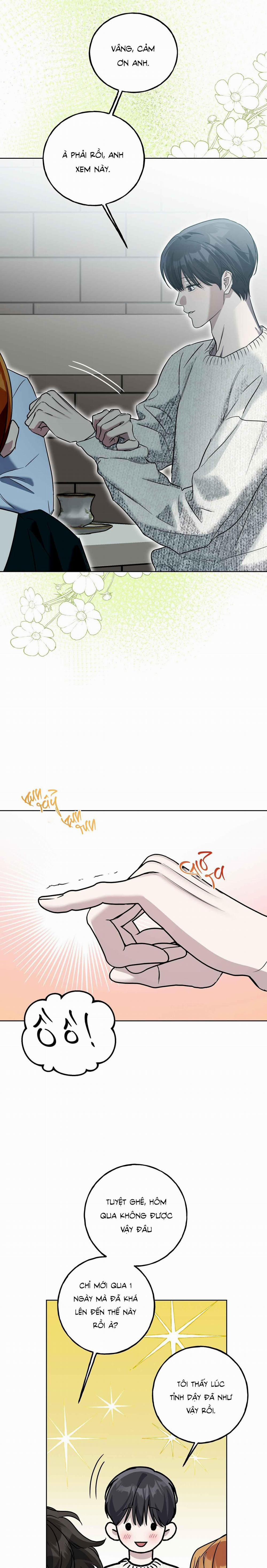 Lâu Đài Gỗ Mun 19 trang 8