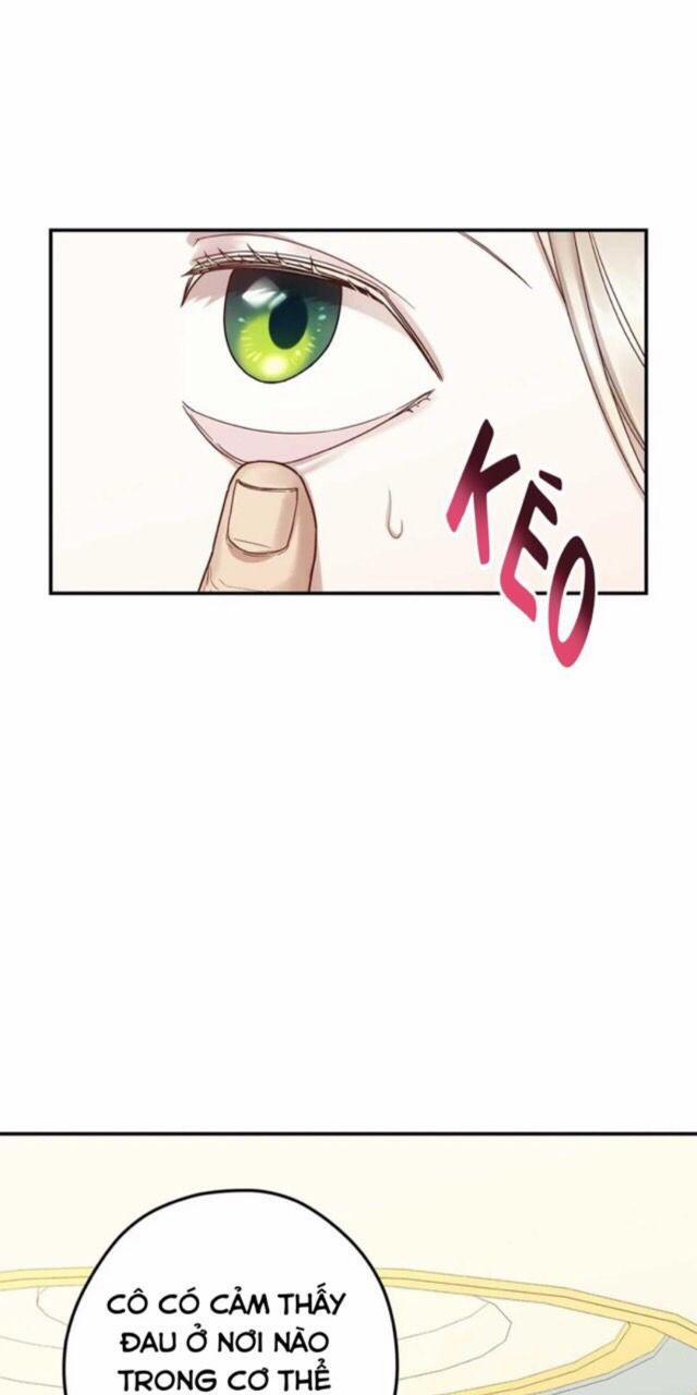 Lâu Đài Hoa Hồng Trắng Của Elise 6 trang 3