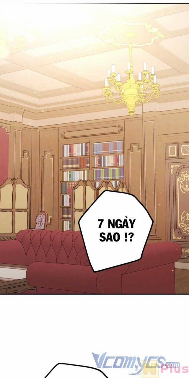 Lâu Đài Hoa Hồng Trắng Của Elise 8 trang 1