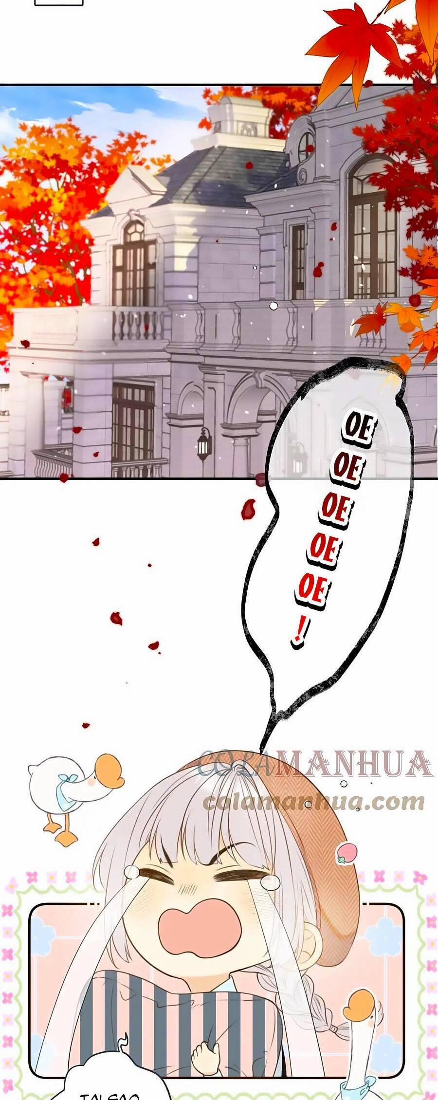 Lâu Tiểu Thư, Lại Gặp Nhau Rồi 104 trang 11