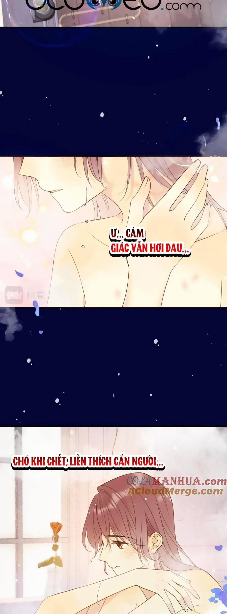 Lâu Tiểu Thư, Lại Gặp Nhau Rồi 108 trang 22