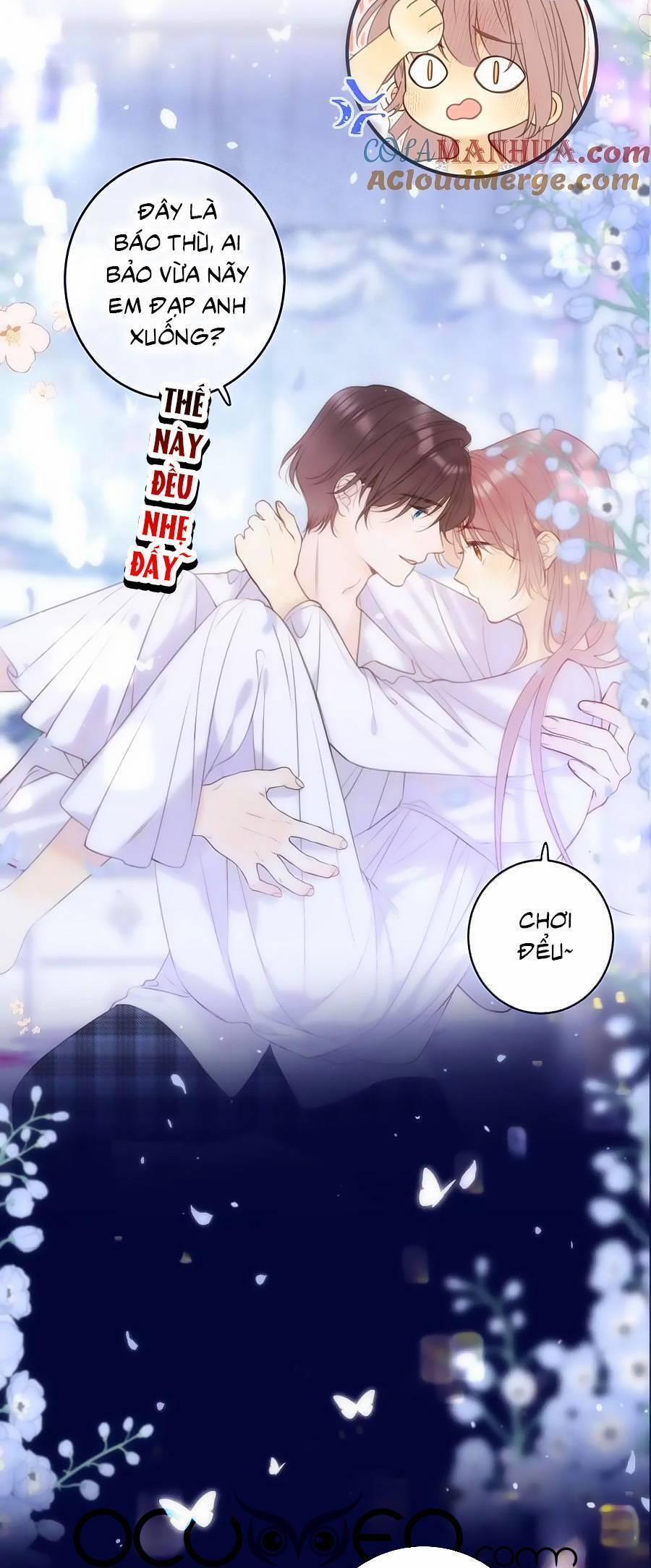 Lâu Tiểu Thư, Lại Gặp Nhau Rồi 109 trang 11