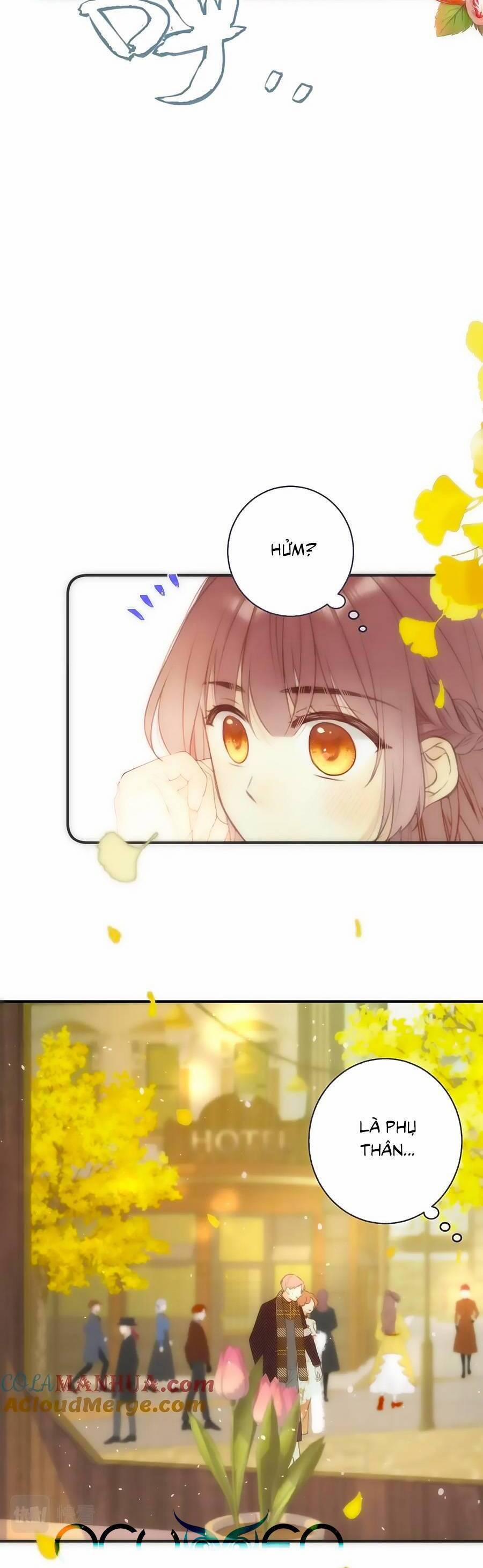 Lâu Tiểu Thư, Lại Gặp Nhau Rồi 109 trang 24