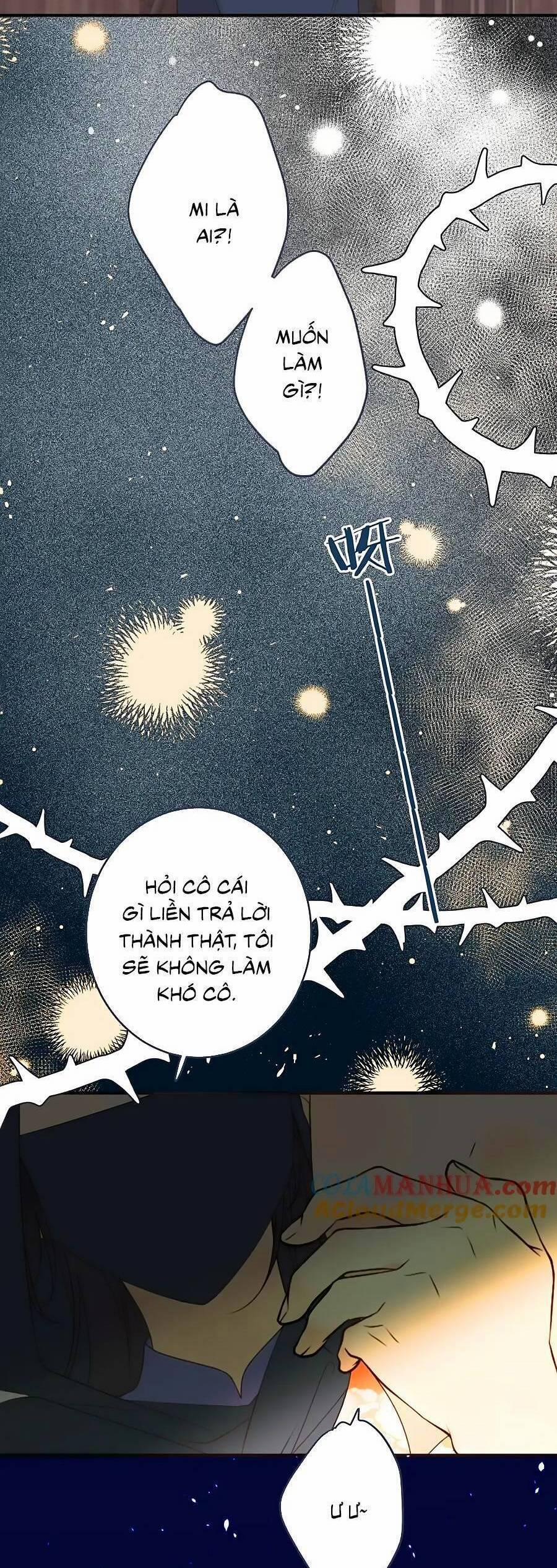 Lâu Tiểu Thư, Lại Gặp Nhau Rồi 110 trang 12