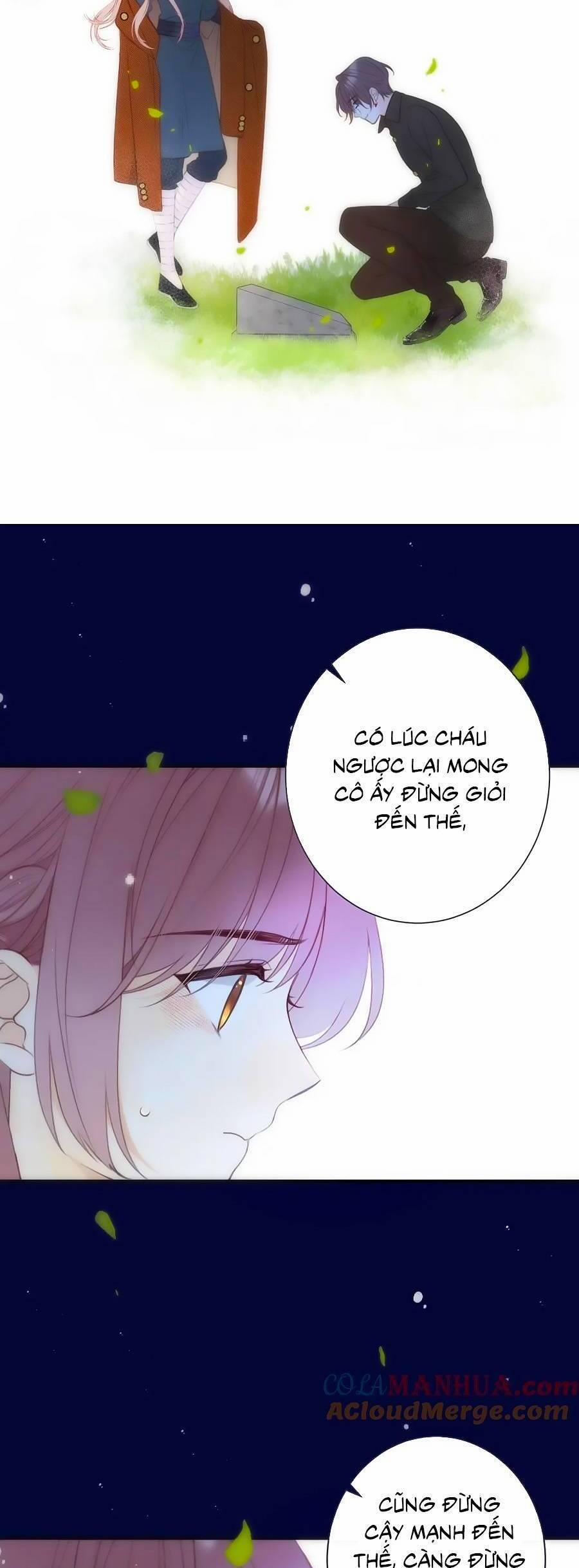 Lâu Tiểu Thư, Lại Gặp Nhau Rồi 111 trang 12