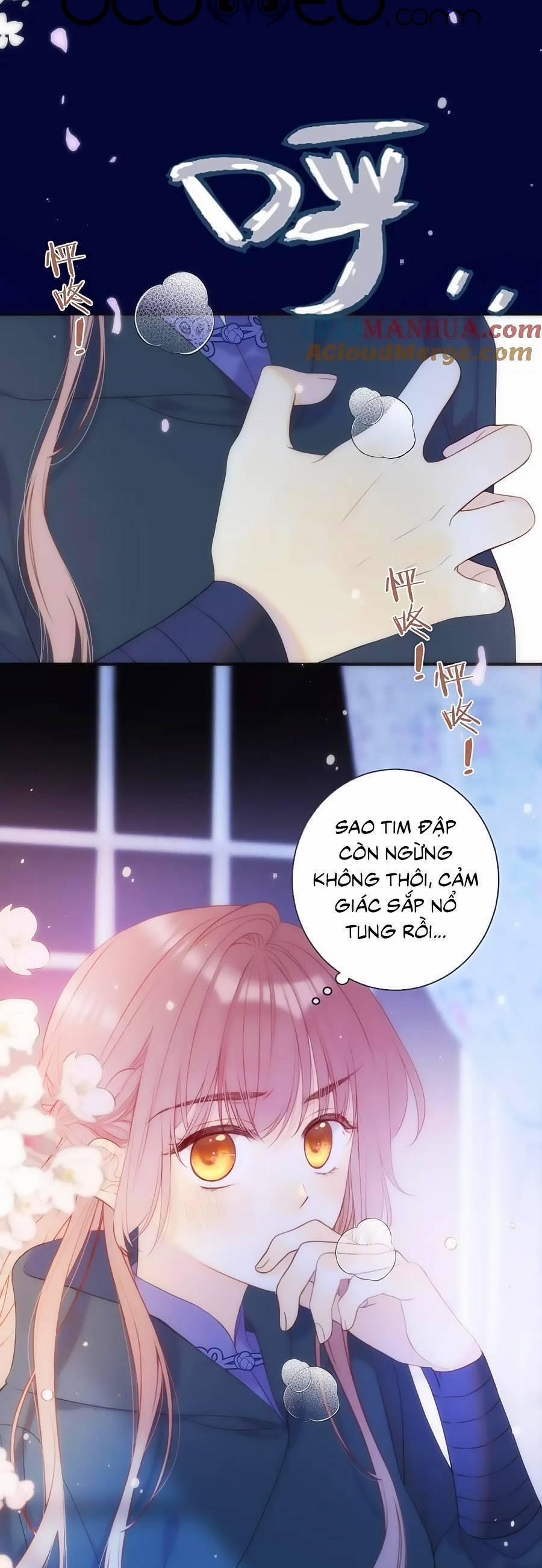 Lâu Tiểu Thư, Lại Gặp Nhau Rồi 112 trang 5