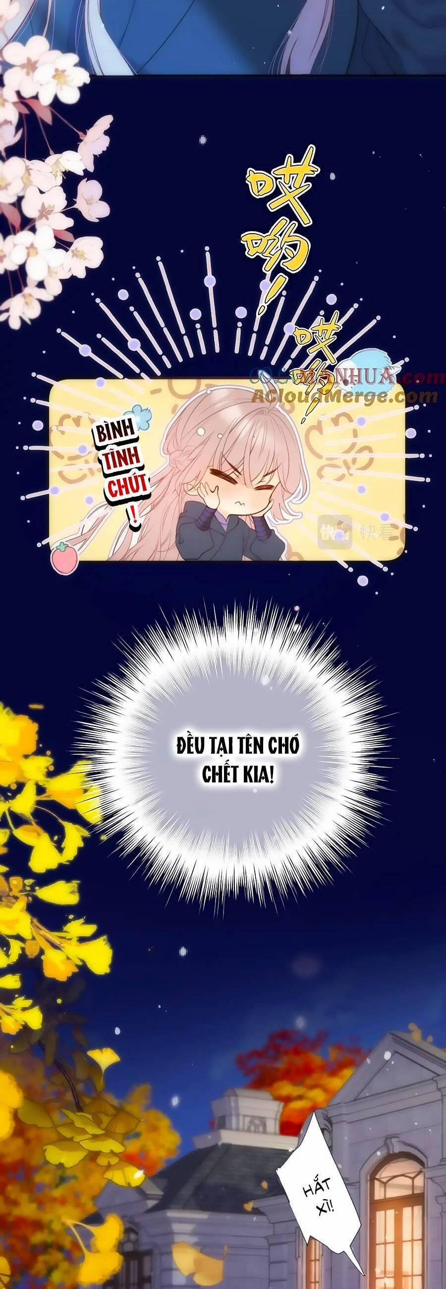 Lâu Tiểu Thư, Lại Gặp Nhau Rồi 112 trang 6