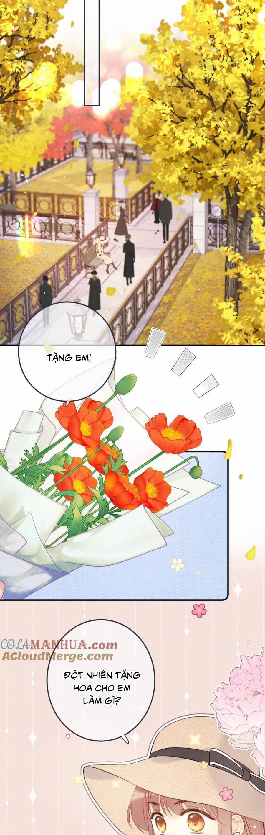 Lâu Tiểu Thư, Lại Gặp Nhau Rồi 117 trang 14